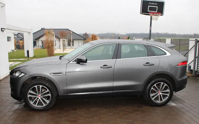 jaguar Jaguar F-Pace cena 80000 przebieg: 139000, rok produkcji 2017 z Łasin